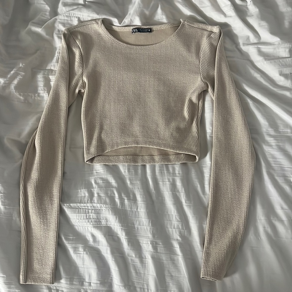 Zara Basic Long Sleeve Crop Top